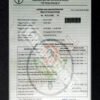 Kopi Luwak Robusta Lampung Asli Liar 250g – Premium, Bubuk & Roasted Bean Pilihan, Terbaik dari Alam - Gambar 6